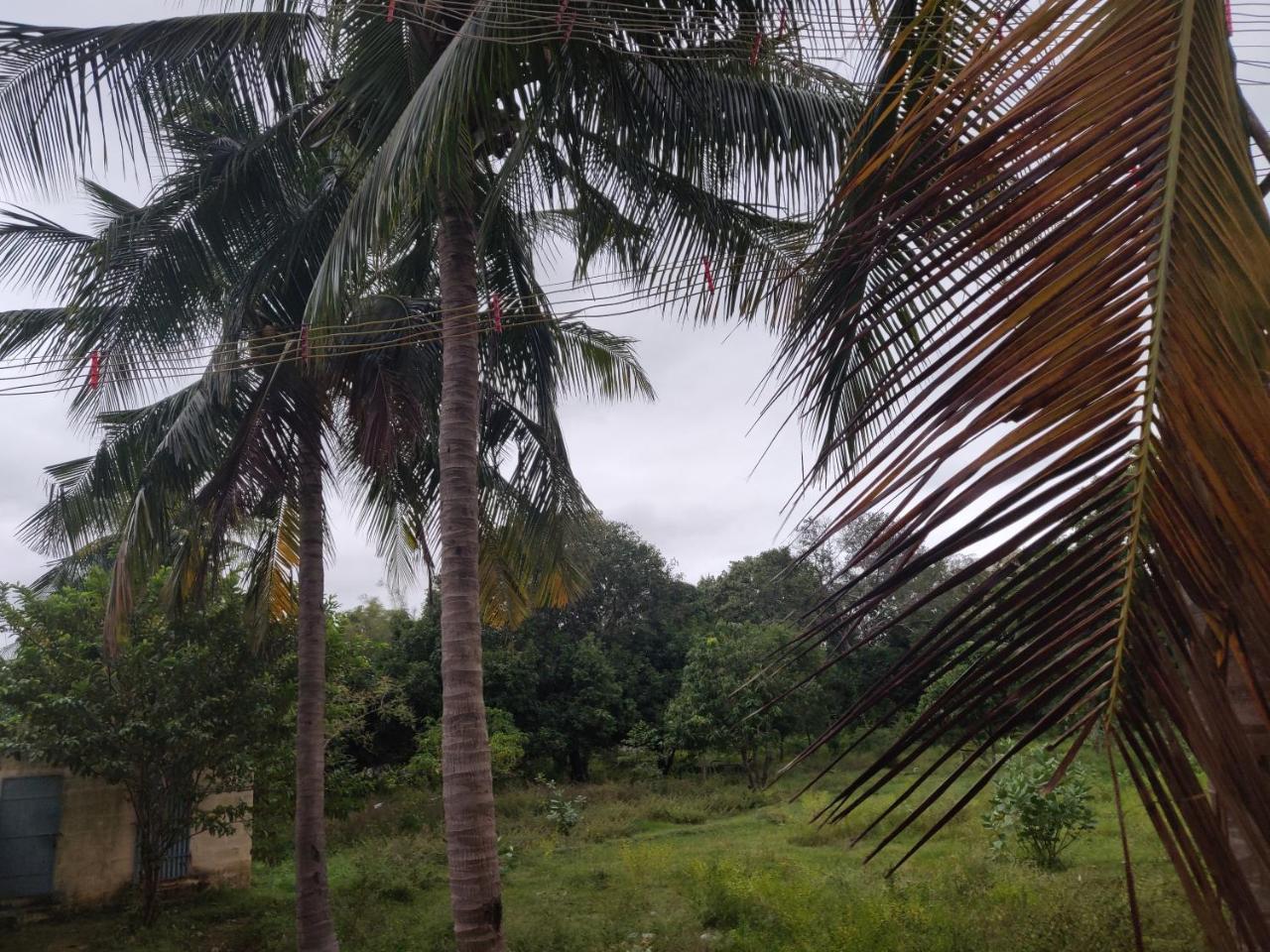 Srb Residency Tiruvannāmalai Exterior foto